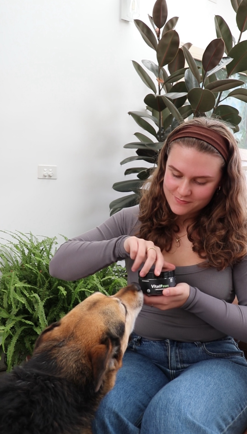 Dog owner giving a VitalPaws chew straight from the jar to her dog at home